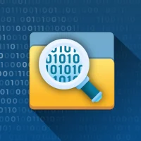 Bin File Viewer and Reader