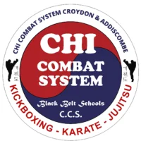 Chi Combat System